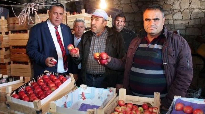 Niğdeli Elma &Uuml;reticileri Destek İstiyor
