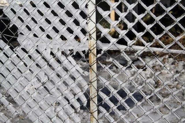 Ardahan&rsquo;da Kar, Yerini Buzlanma Ve Dona Bıraktı 1