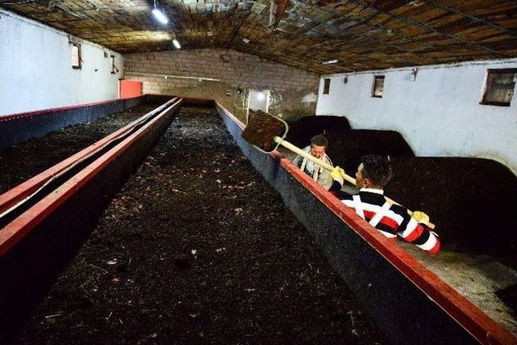 Güvenlik Görevlisinin Solucan Gübresiyle Gelen Başarı Hikayesi G1