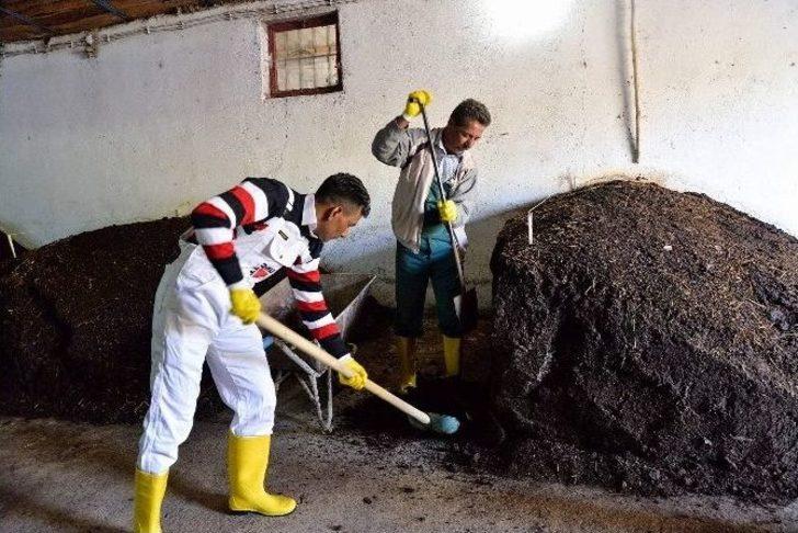 Güvenlik Görevlisinin Solucan Gübresiyle Gelen Başarı Hikayesi G3