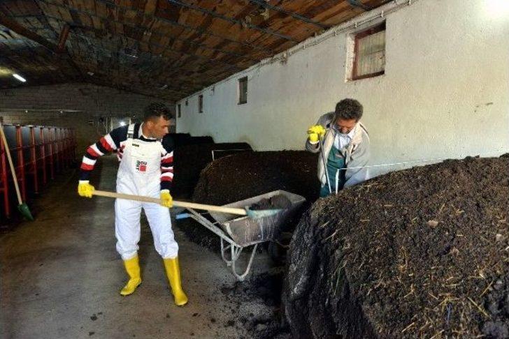 Güvenlik Görevlisinin Solucan Gübresiyle Gelen Başarı Hikayesi G4