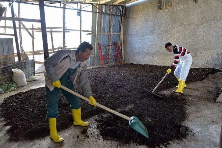 Güvenlik Görevlisinin Solucan Gübresiyle Gelen Başarı Hikayesi G5