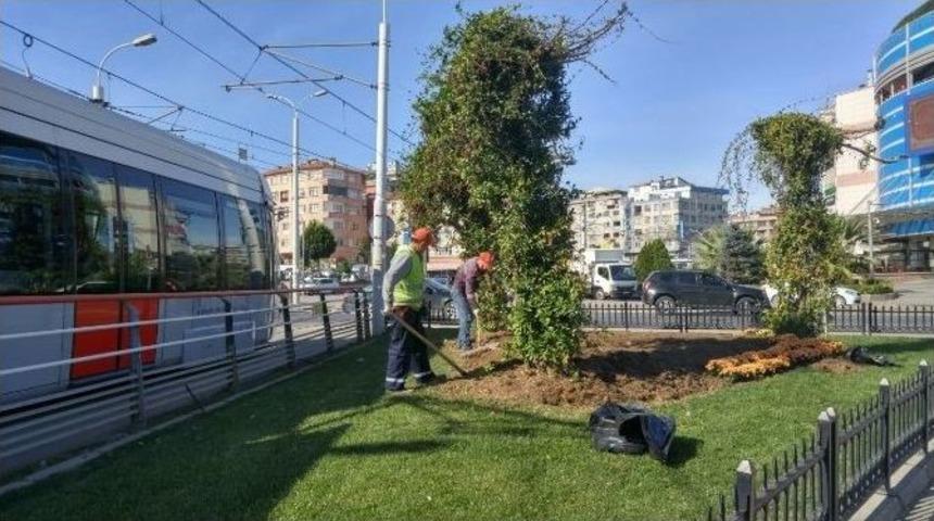 G&uuml;ng&ouml;ren, Kış &Ccedil;i&ccedil;ekleriyle Renkleniyor