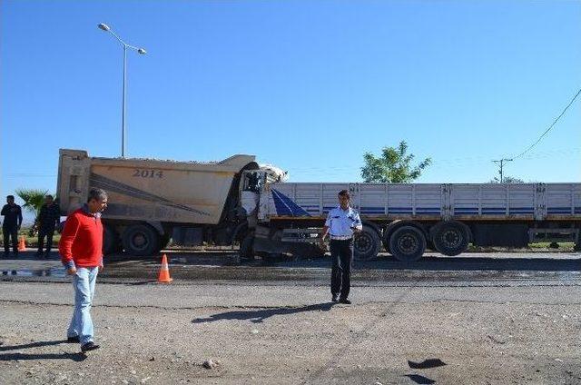 Eşek Zincirleme Kazaya Neden Oldu: 1 Yaralı