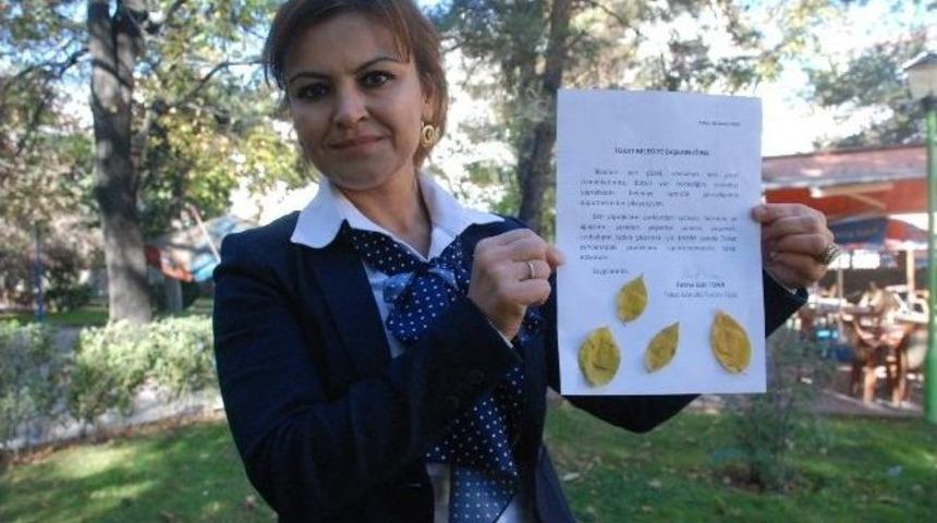 Sonbahar Yapraklarının S&uuml;p&uuml;r&uuml;lmesinden Şikayet&ccedil;i Oldu