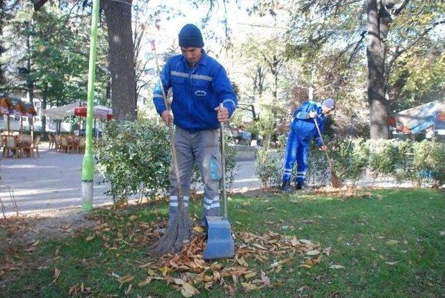 Sonbahar Yapraklarının Süpürülmesinden Şikayetçi Oldu