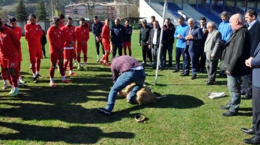 Galibiyet I&ccedil;in Kurban Kestiler