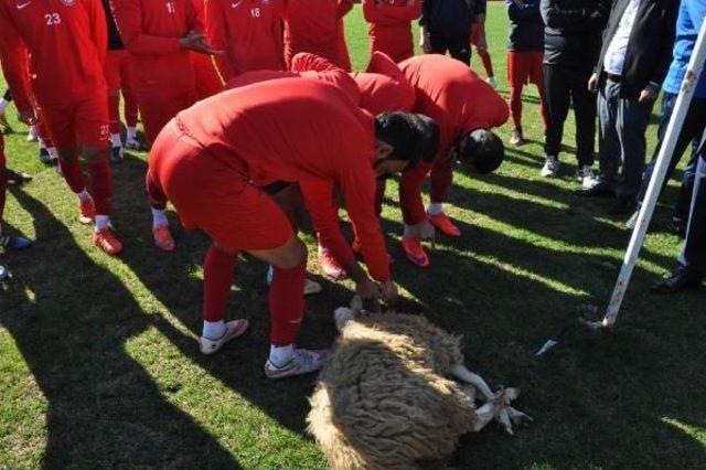 Galibiyet Için Kurban Kestiler