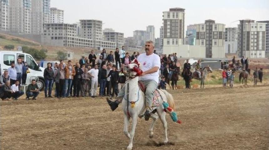 Rahvan Atları 15 Temmuz Şehitleri İ&ccedil;in Yarıştı