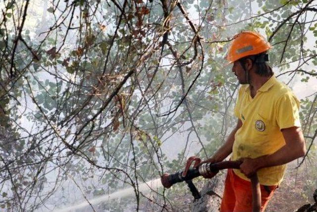  Antalya'da Orman Yangını (2)