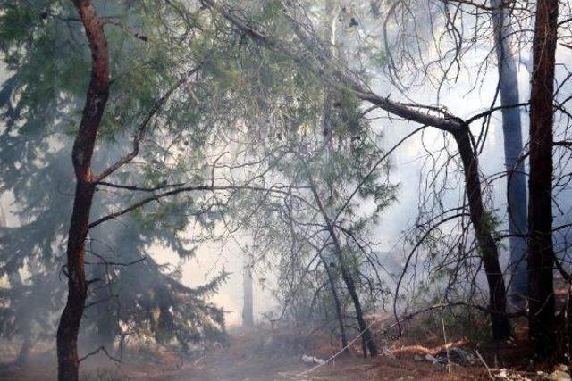  Antalya'da Orman Yangını (2)