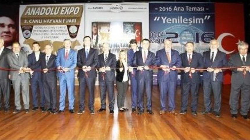Kuşadası&rsquo;nda D&uuml;zenlenen Anadolu Expo 3. Canlı Hayvan Fuarı A&ccedil;ıldı