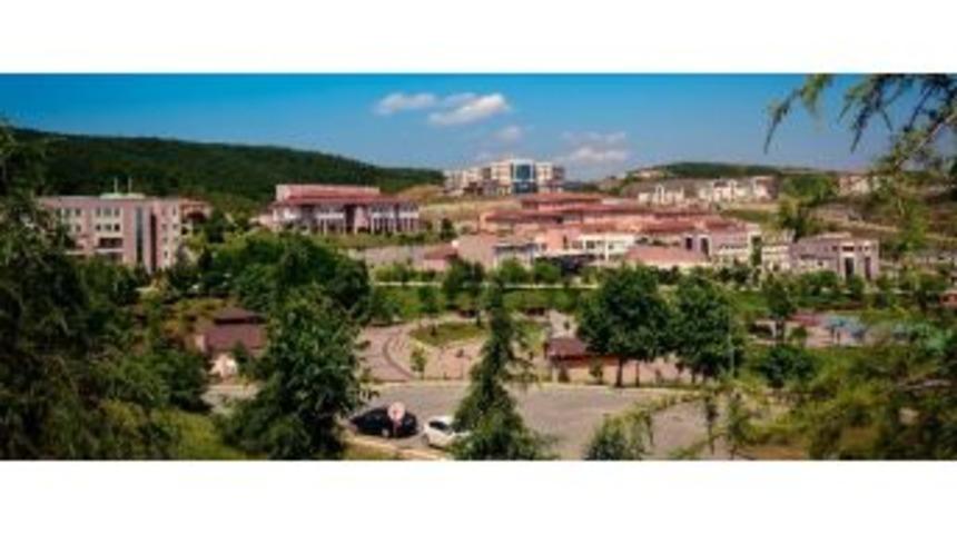 D&uuml;zce &Uuml;niversitesi G&uuml;zel Sanatlar Enstit&uuml;s&uuml; Kuruldu