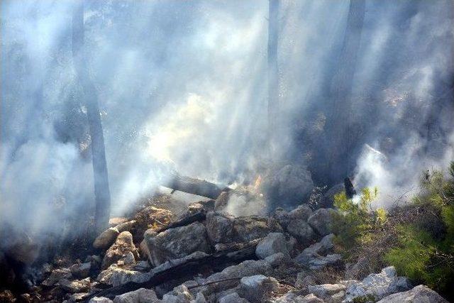 Antalya&rsquo;da Orman Yangını 1
