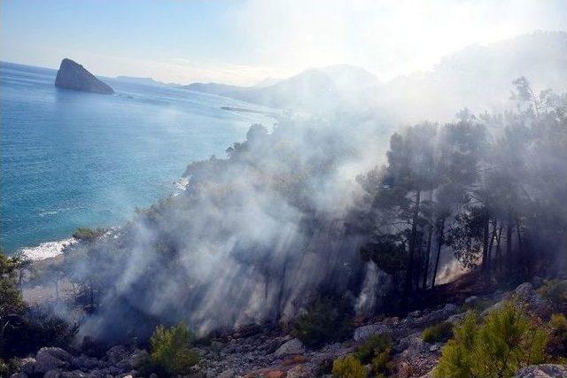 Antalya&rsquo;da Orman Yangını 2