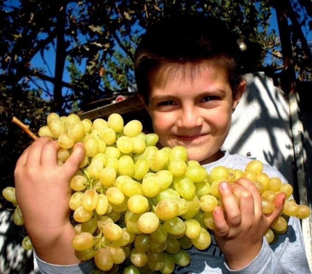 Bu &Uuml;z&uuml;m Salkımları Başka