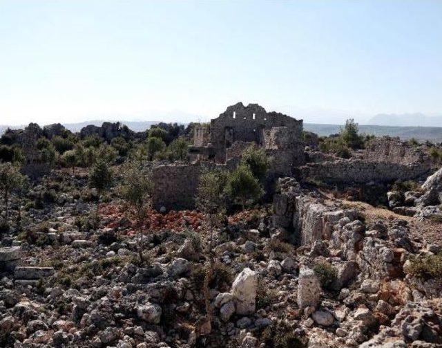 Perge nin 2 Bin Yıllık Yağ &Ccedil;iftliğinde Kazılar Başladı 1