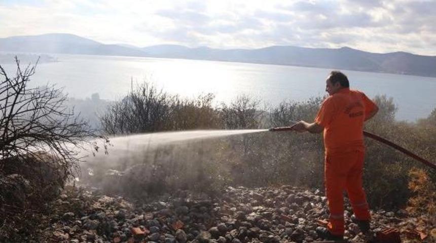 Urla'da Orman Yangını