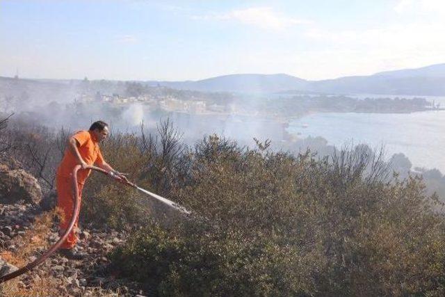 Urla'da Orman Yangını