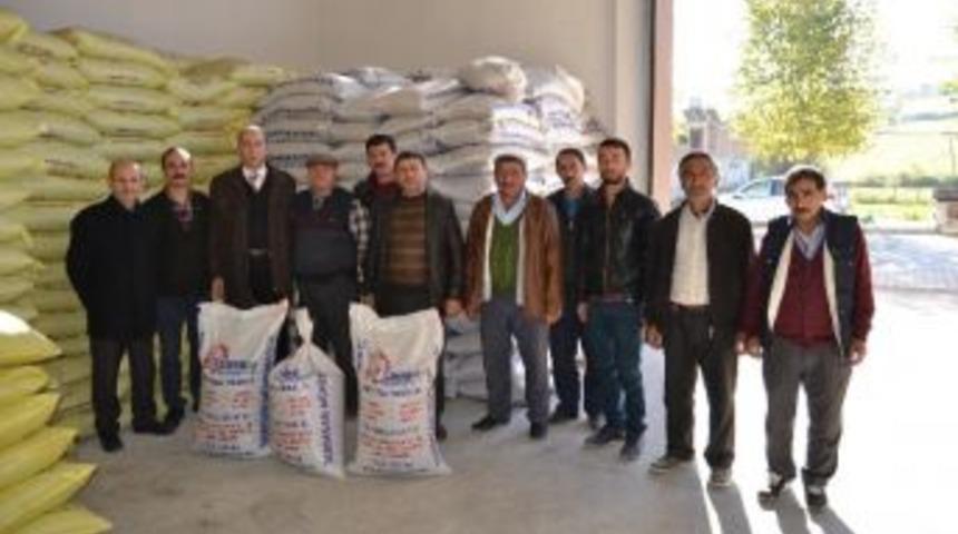 Ala&ccedil;am&rsquo;da Korunga Tohumu Dağıtıldı