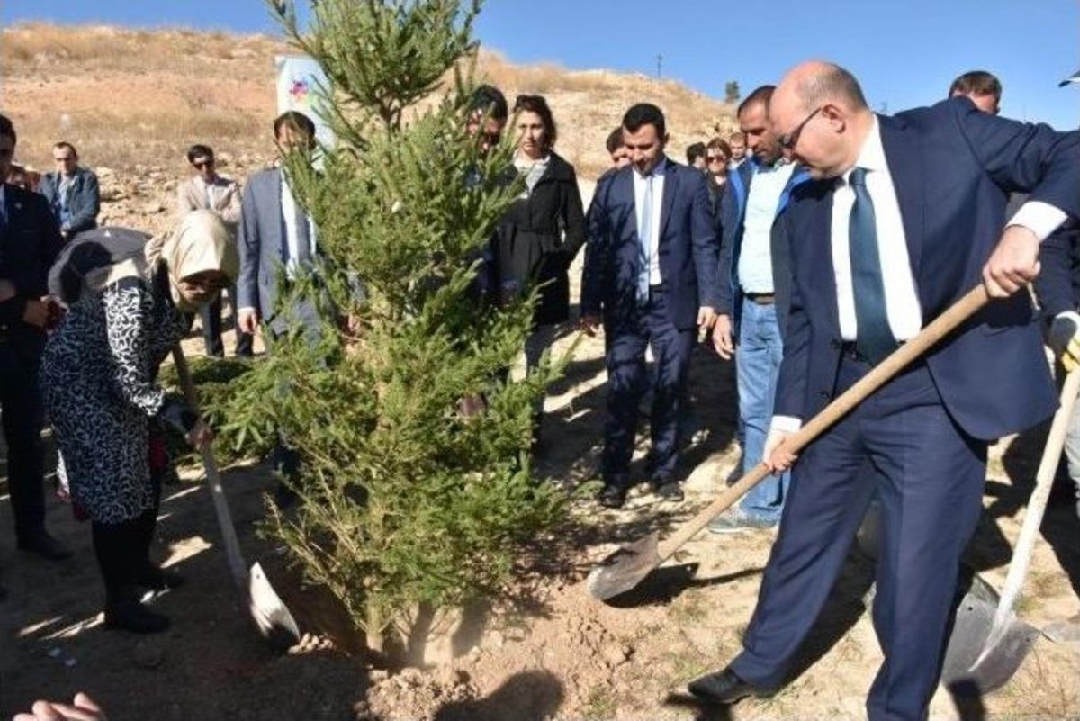 15 Temmuz Şehitleri Fidanlarla Yaşatılacak