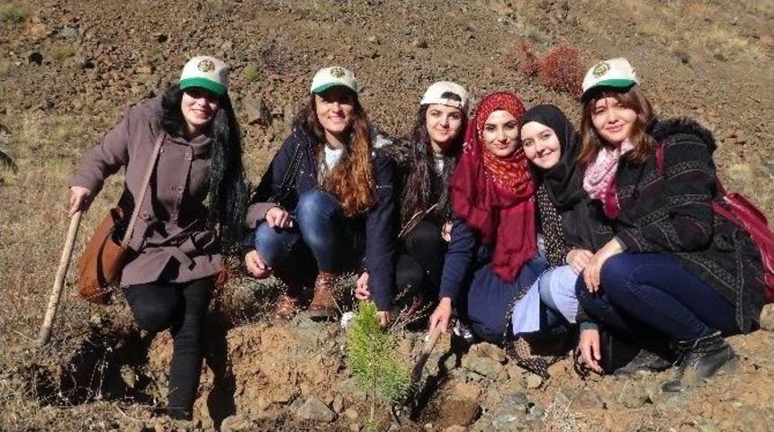 &Uuml;niversite &Ouml;ğrencileri Bin 500 Fidanı Toprakla Buluşturdu