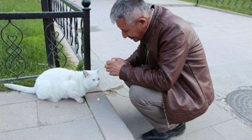 Asker Babası &Ccedil;&ouml;p&ccedil;&uuml; Simidini A&ccedil; Kediyle Paylaştı