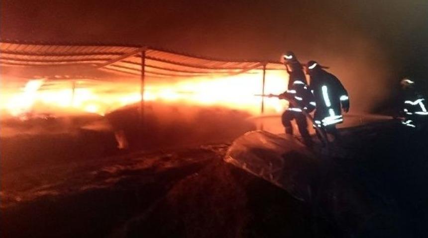 B&uuml;y&uuml;kşehir İtfaiyesi Onlarca Hayvanı Yanmaktan Kurtardı