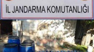 Bekilli'de 735 Litre Kaçak Şarap Ele Geçirildi