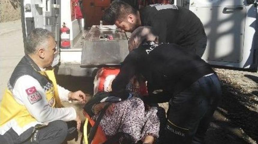 Yaşlı Kadına Sosyal Hizmetler M&uuml;d&uuml;rl&uuml;ğ&uuml; Sahip &Ccedil;ıktı