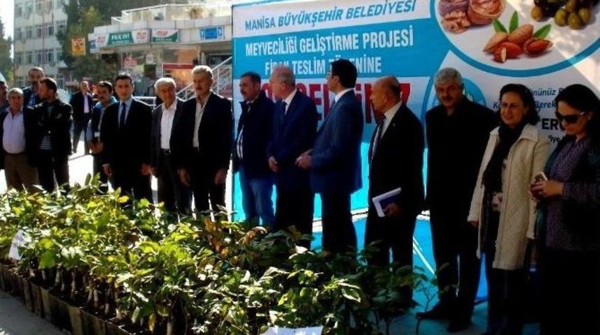 Sarıg&ouml;ll&uuml; &Uuml;reticilere Ceviz Fidanı Dağıtıldı