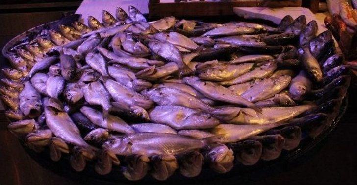 (özel Haber) Çinakop 10 Liraya Düştü, Vatandaşlar Hücum Etti G1