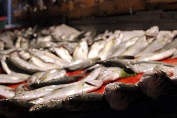 (özel Haber) Çinakop 10 Liraya Düştü, Vatandaşlar Hücum Etti G5