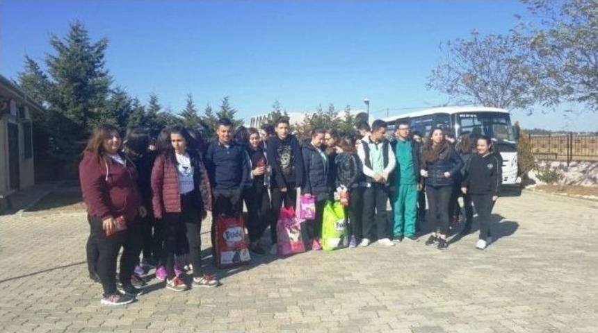 &Ouml;ğrencilerin Hayvan Bakımevi Gezisi