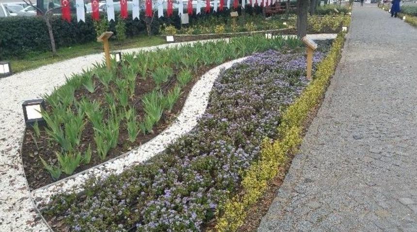 Kocaeli&rsquo;de Tıbbi Ve Aromatik Bitkiler Bah&ccedil;esi A&ccedil;ıldı