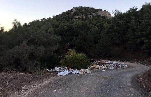 Bir Traktör İnşaat Pisliği 4 Bin Lirasına Mal Oldu