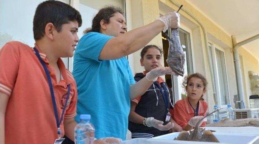Büyükşehir Belediyesi, 400 Öğrenciye Deniz Kaplumbağaları Eğitimi Veriyor