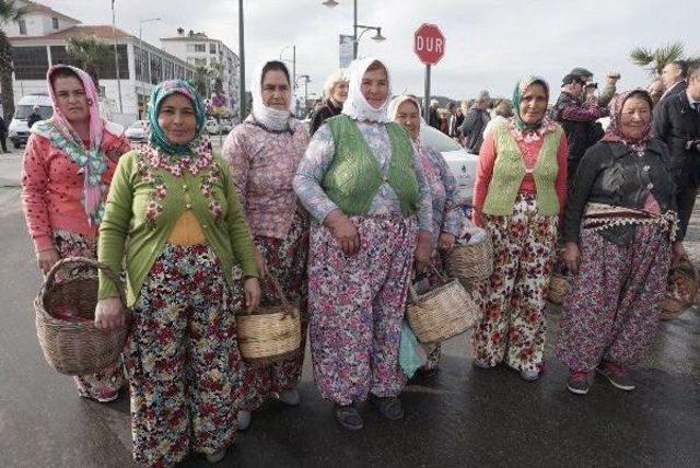 Ayvalık'taki Hasat Günleri 'zeytine Minnet' Yürüyüşüyle Başladı