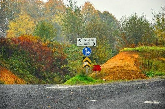 Zonguldak-ereğli Karayolunda Sonbahar Renkleri