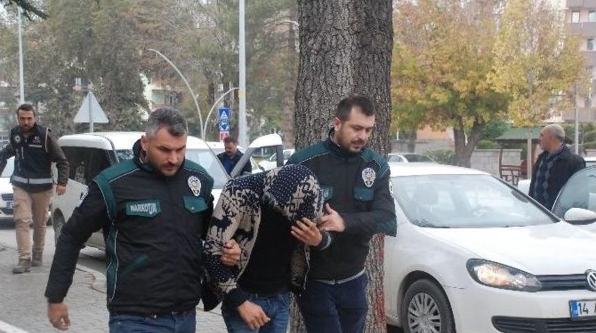Bolu Polisinden Bonzai Satıcılarına Operasyon
