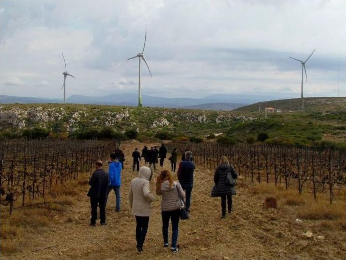 &Ccedil;eşme&rsquo;de Res&rsquo;lere Bilirkişi İncelemesi