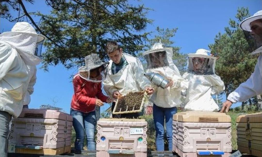 Bu B&ouml;l&uuml;m&uuml; Se&ccedil;en &Ouml;ğrencilere Barınma Ve Kahvaltı Bedava