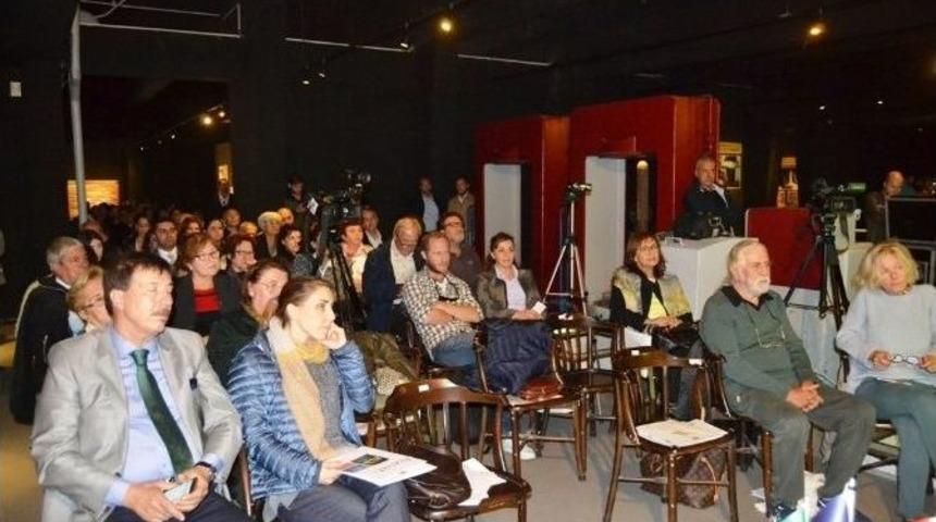 Zeytin Ağacı &Ccedil;eşitleri Mercek Altına Alındı