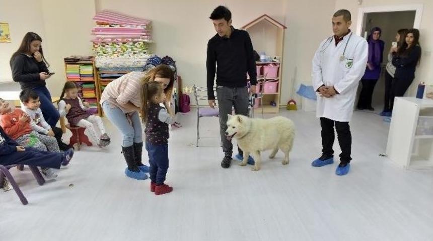 Minikler Sokak Hayvanlarına Karşı Bilin&ccedil;lendiler