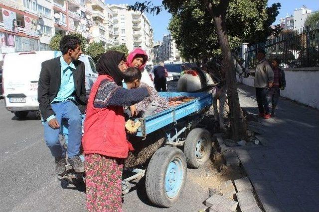 Ambulans Bulamayınca Atbulnas İle Geldi