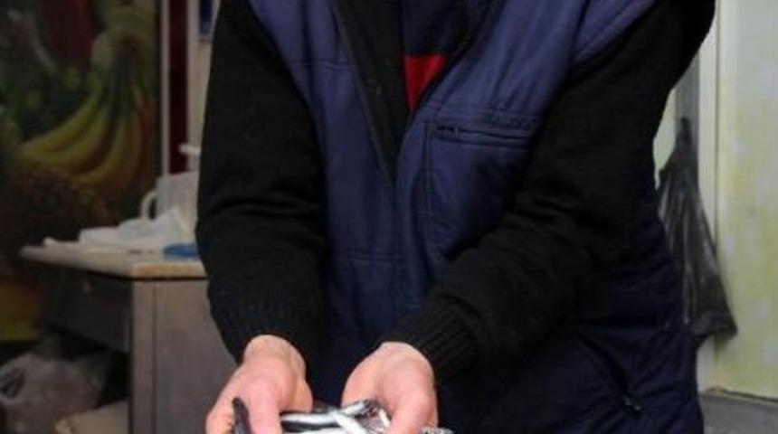 Karadeniz'de Hamsi Bolluğu