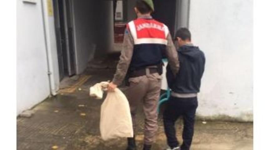 Evin Bah&ccedil;esine Kenevir Eken Ş&uuml;pheli Tutuklandı