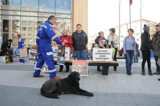 Hayvanat Bahçesini Protesto Ettiler