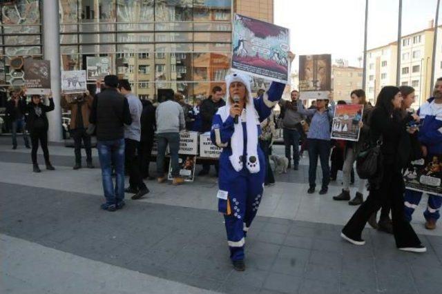 Hayvanat Bahçesini Protesto Ettiler