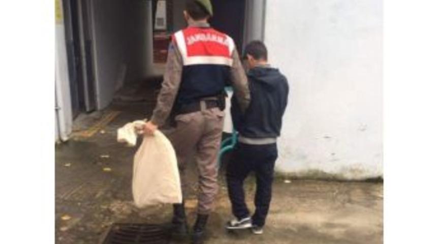 Evinin Bah&ccedil;esine Kenevir Eken Şahıs Tutuklandı